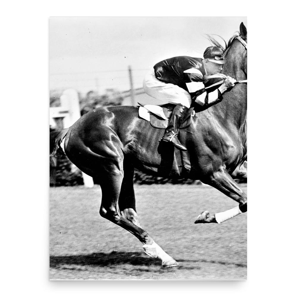 Phar Lap poster print, in size 18x24 inches.