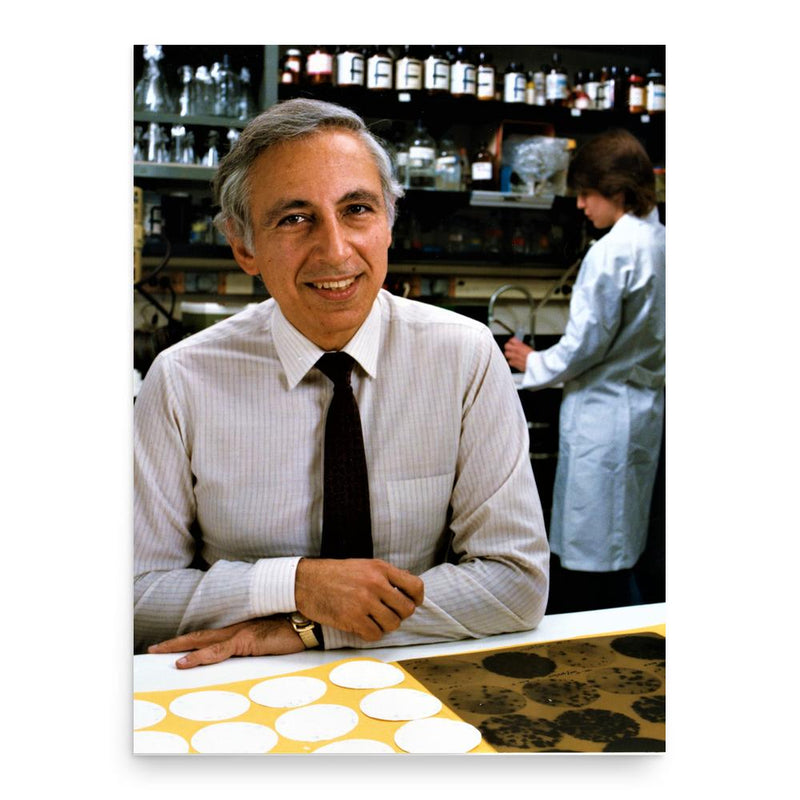 Robert Gallo poster print, in size 18x24 inches.