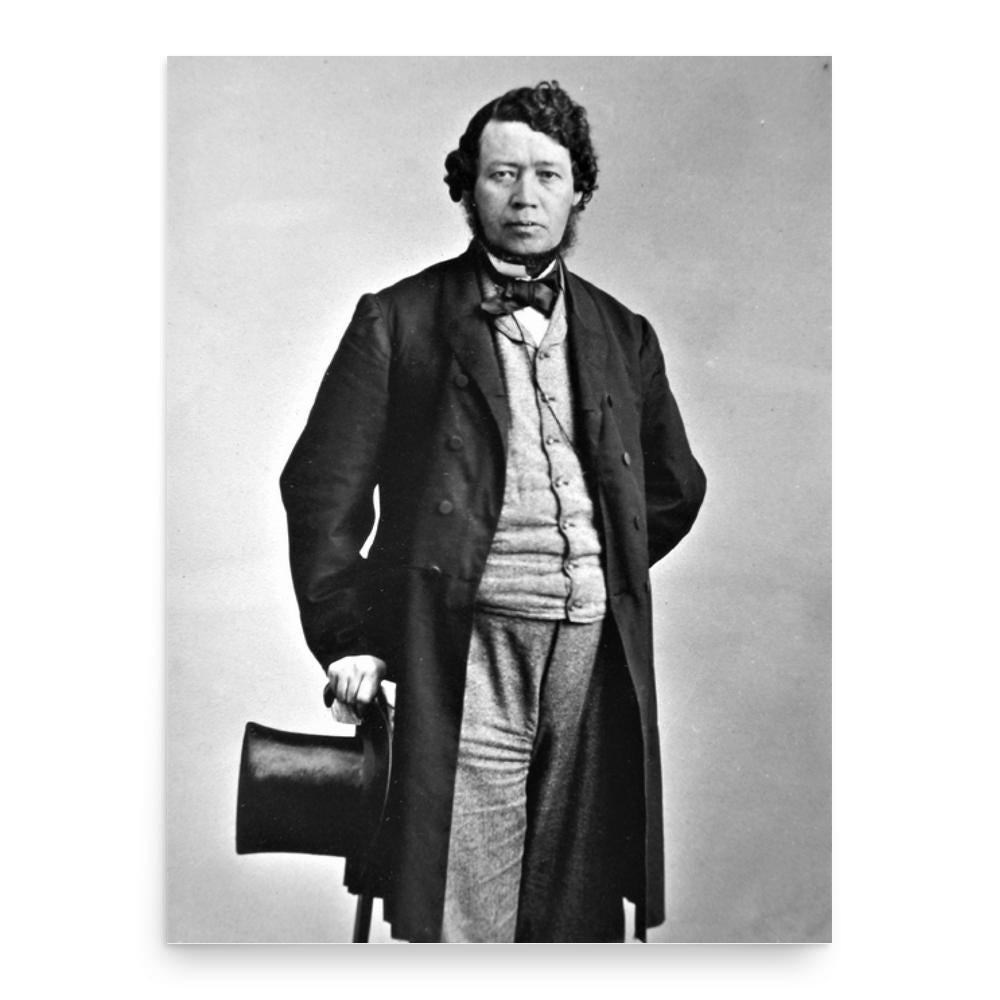 Thomas D'Arcy McGee poster print, in size 18x24 inches.