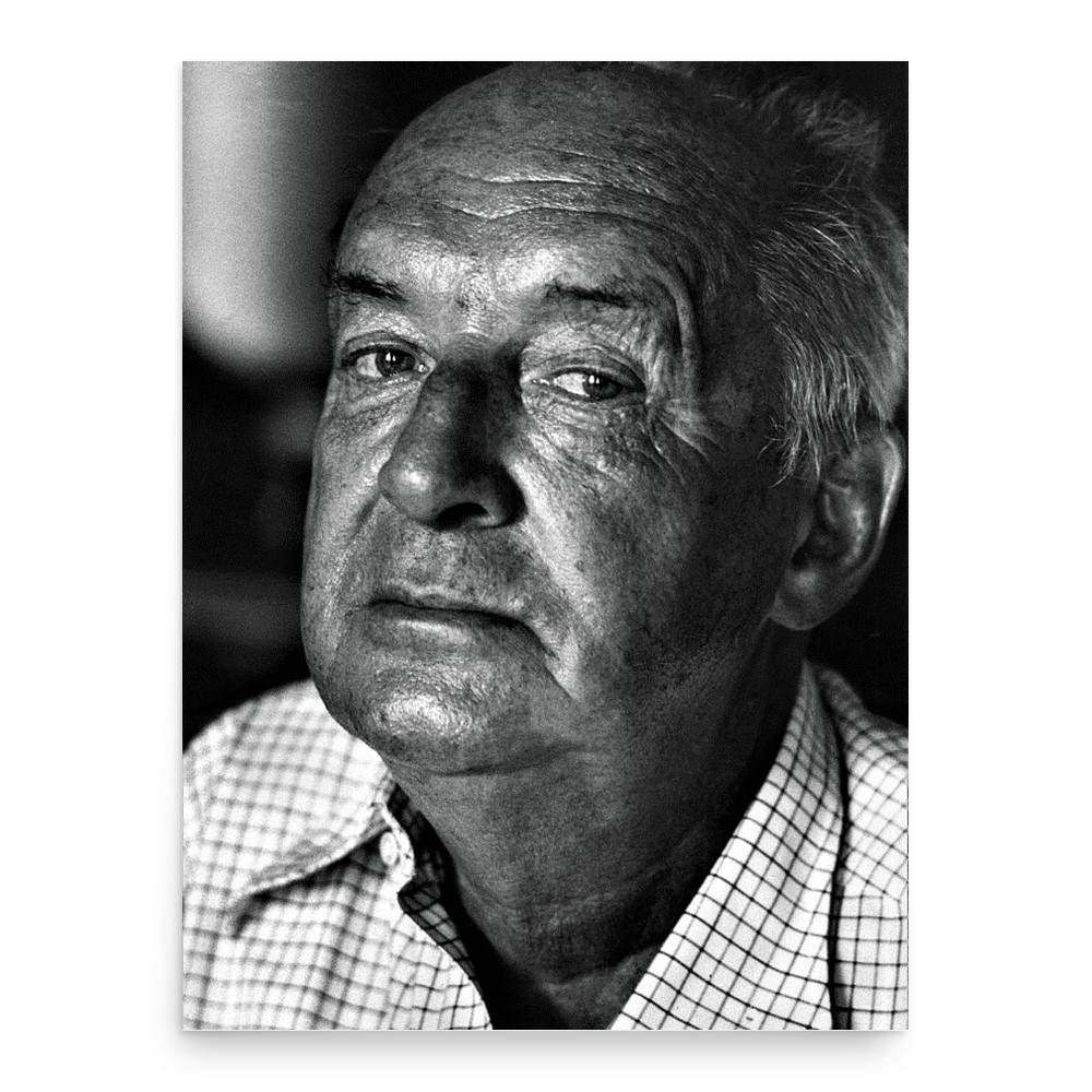 Vladimir Nabokov poster print, in size 18x24 inches.