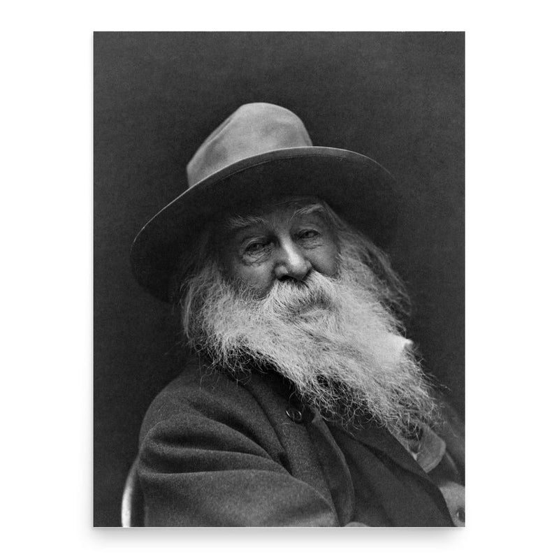 Walt Whitman poster print, in size 18x24 inches.