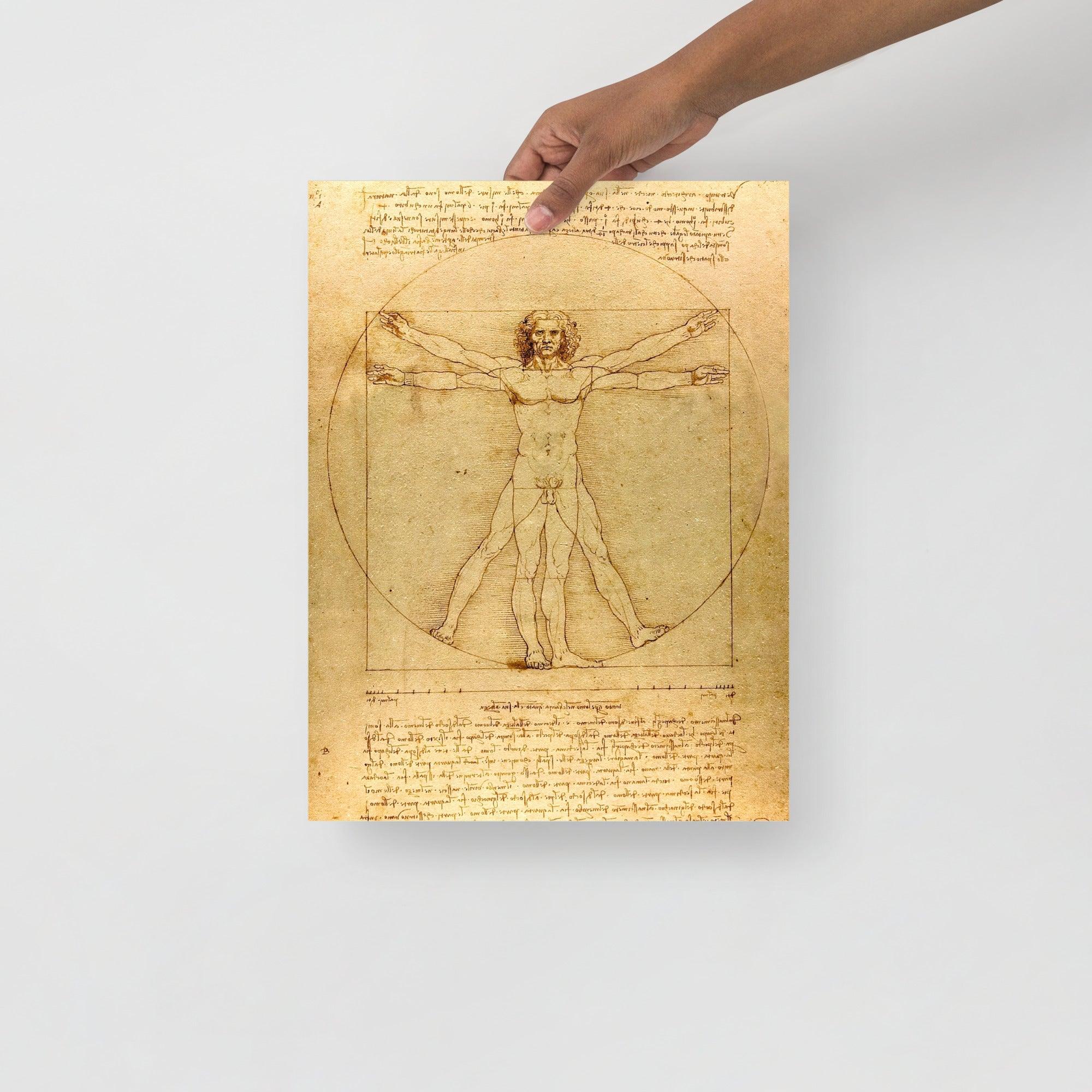 A Vitruvian Man by Leonardo da Vinci poster on a plain backdrop in size 12x16”.