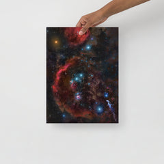 An Orion Constellation poster on a plain backdrop in size 12x16”.