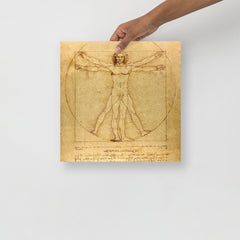 A Vitruvian Man by Leonardo da Vinci poster on a plain backdrop in size 14x14”.