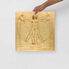 A Vitruvian Man by Leonardo da Vinci poster on a plain backdrop in size 16x16”.