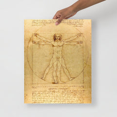 A Vitruvian Man by Leonardo da Vinci poster on a plain backdrop in size 16x20”.