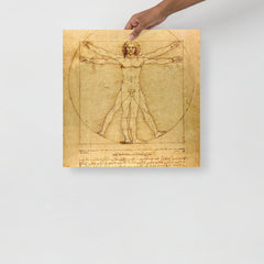 A Vitruvian Man by Leonardo da Vinci poster on a plain backdrop in size 18x18”.