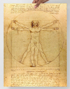 A Vitruvian Man by Leonardo da Vinci  poster on a plain backdrop in size 18x24”.