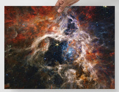 A Tarantula Nebula by James Webb Space Telescope poster on a plain backdrop in size 18x24”.