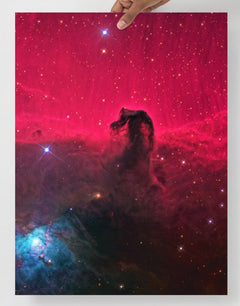 A Horsehead Nebula poster on a plain backdrop in size 18x24”.