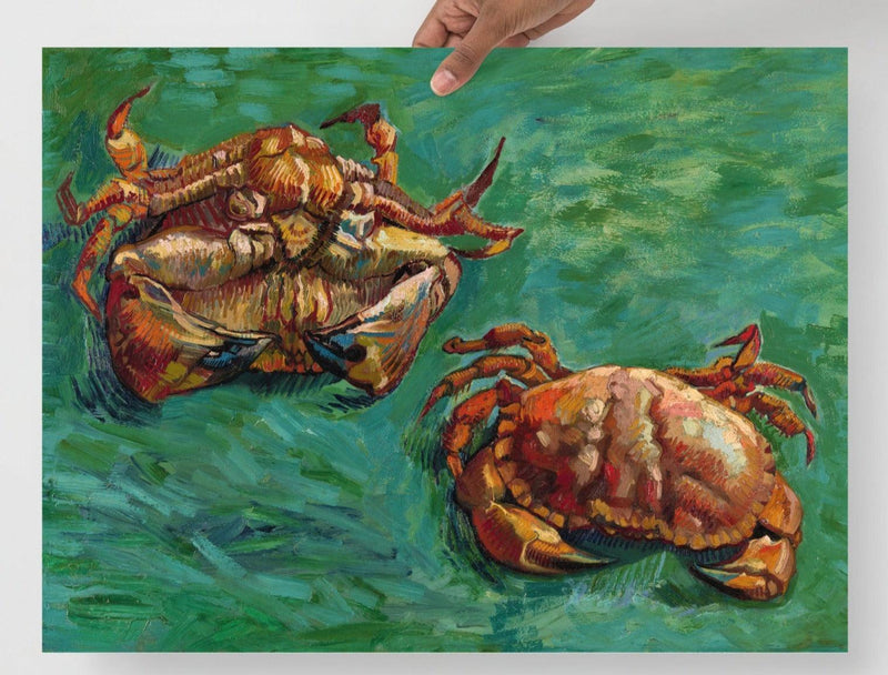 A Two Crabs By Vincent Van Gogh poster on a plain backdrop in size 18x24”.